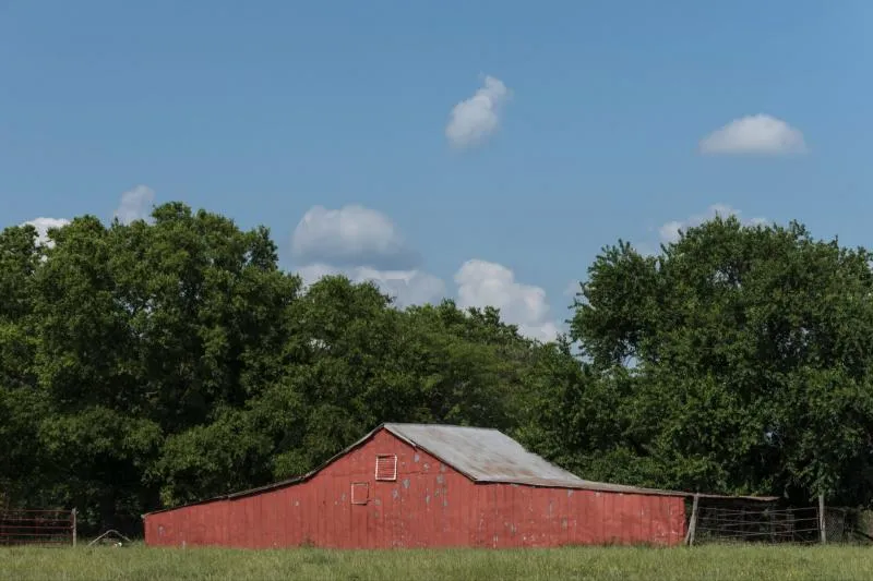 A weathered red barn beneath tall green trees in East Texas